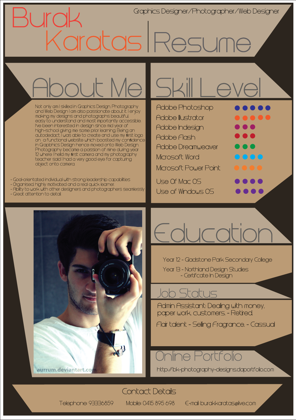 infographic resume 4