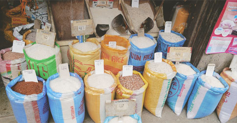 rice business plan in telugu