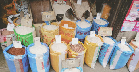 business plan for rice retailing