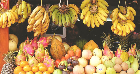 fruit stand business plan philippines